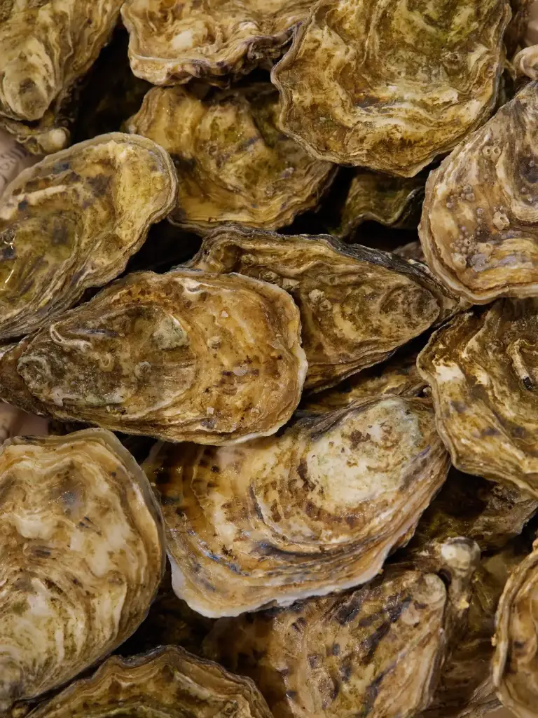 Ostras Gillardeau servidas en La Pescadería Sevilla
